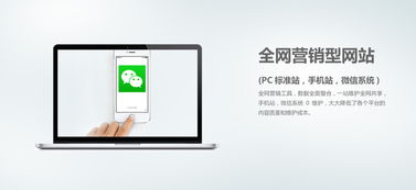 網(wǎng)絡(luò)營銷外包與個(gè)人互聯(lián)網(wǎng)服務(wù) 企業(yè)增長(zhǎng)的數(shù)字化雙翼